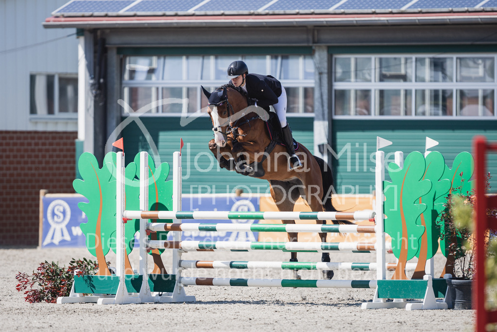 230516_Mühlen_04SprPf-L-444 | Deine schönsten Turniermomente als professionelle Fotos! Entdecke hochwertige Pferdesport-Fotografie im Online-Shop. Jetzt Fotos finden & bestellen!