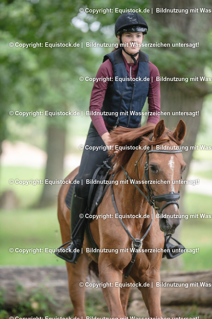 20250726_Vielseitigkeitslehrgang-Marbach_0197 | Foto: Thomas Hartig