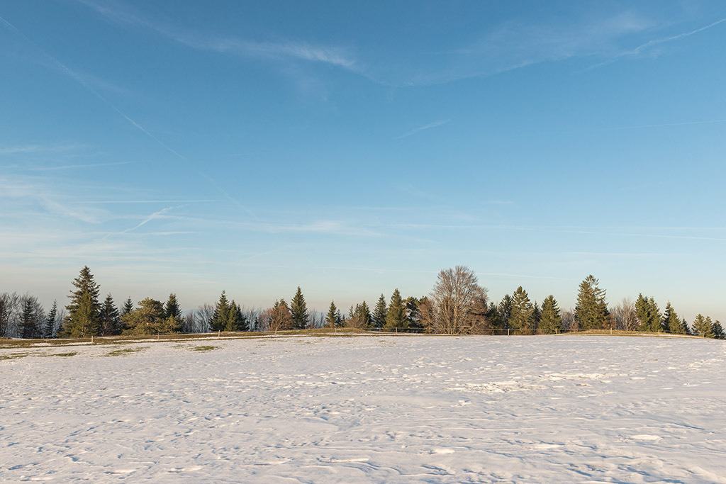 Schneefeld mit Wald | im Winter. - Realisiert mit Pictrs.com