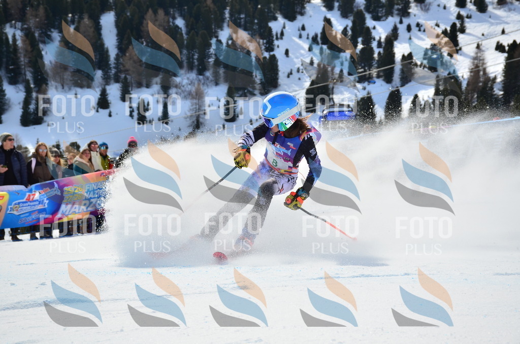 SLV_5014 | holidayphoto