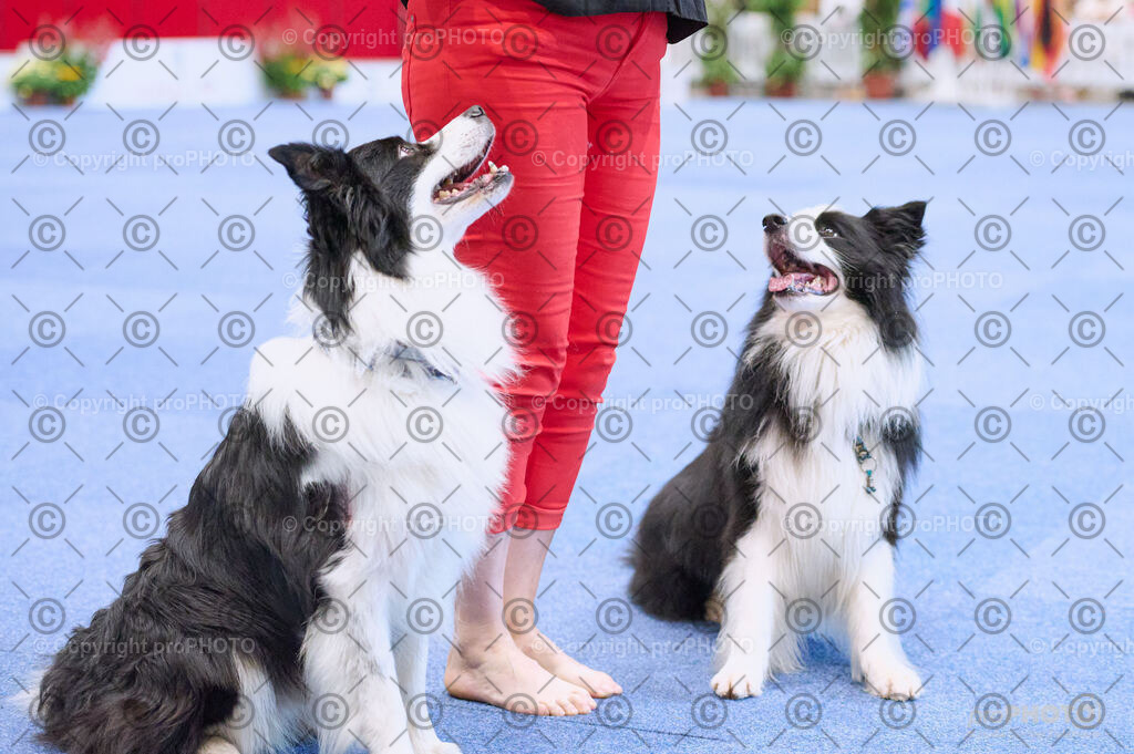 202406_ÖKV-IHA-Tulln24_DSC_4337 | proPHOTO - Realisiert mit Pictrs.com