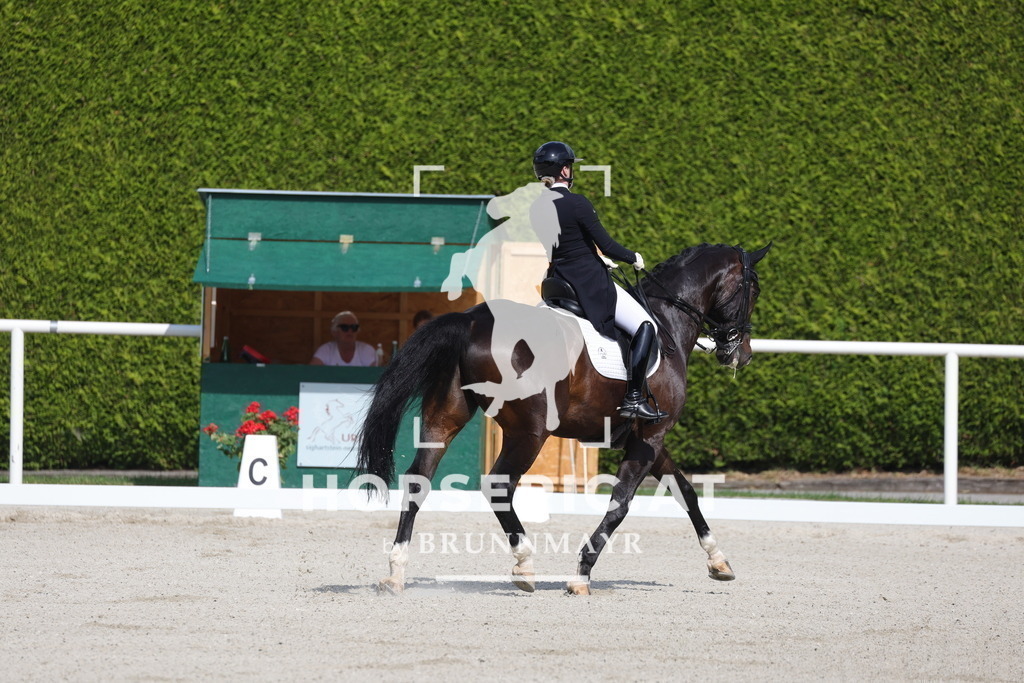 0P6A6726 | Willkommen bei Brunnmayr - Design & Fotografie – Ihrem Spezialisten für Reitturniere und Pferdeveranstaltungen in Oberösterreich, Salzburg und Bayern! Seit über 17 Jahren sind wir leidenschaftlich dabei.