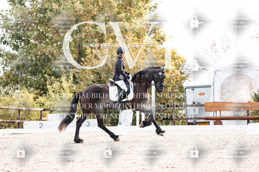 CK900292 | Turnierfotografie Pferdefotografie Trier Rheinland-Pfalz Pferdesport Reitsport Tierfotografie Sportfotografie Pferdevideo Pferdevideografie Equestrianvideography equestrianphotography  - Realisiert mit Pictrs.com