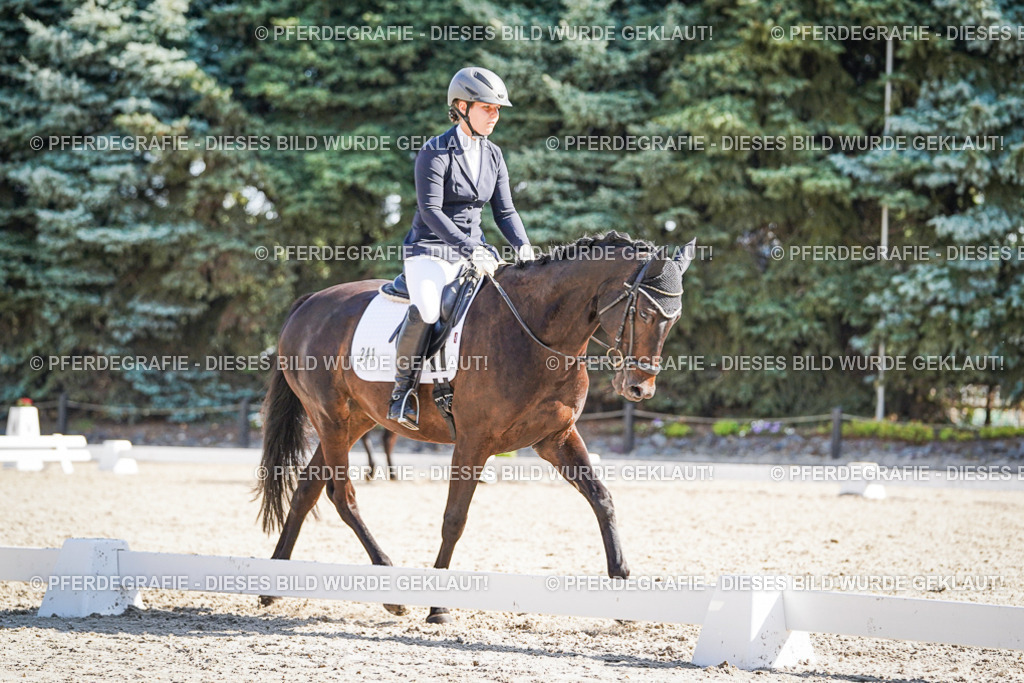 DSC00320 | Pferdegrafie