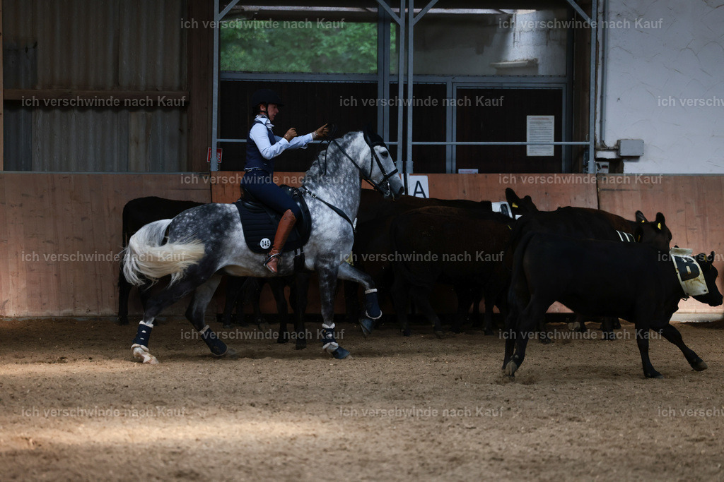 Masterclass_stoibphotography_C2_L7531.JPG | working equitationturnier fotograf videograf stoibphotography marixx film working equitation deutschland reitsport turnierfotografie eventfotografie equestrian events