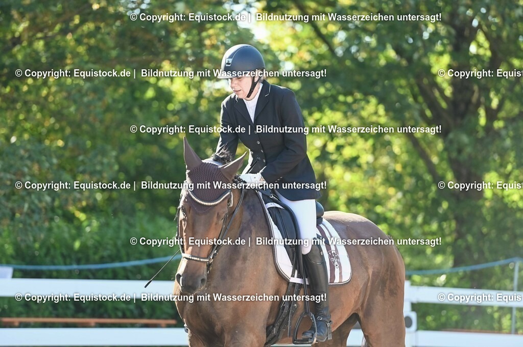 20230715_06_Dressurpferdeprfg. Kl.A_0058 | equistock