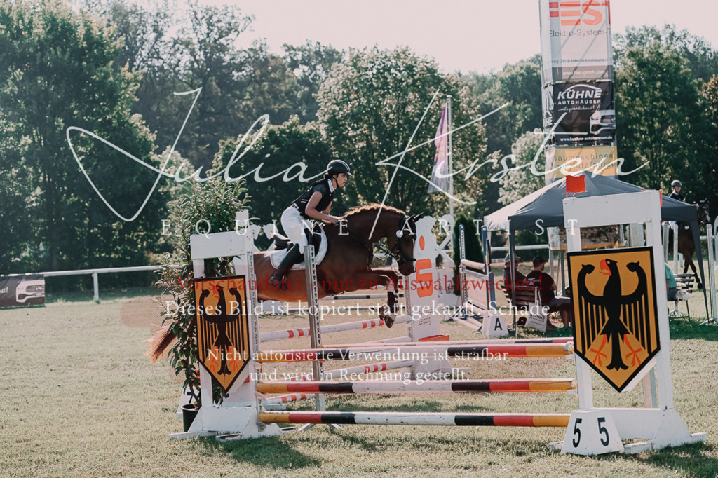 DSC_4653 | Pferde- und Turnierfotografie in Westsachsen. Pferdeportraits, Auftragszeichnungen und intuitive Kunst.