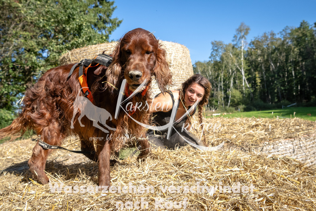 1205_ZZ90192-2 | kk-dogfotos