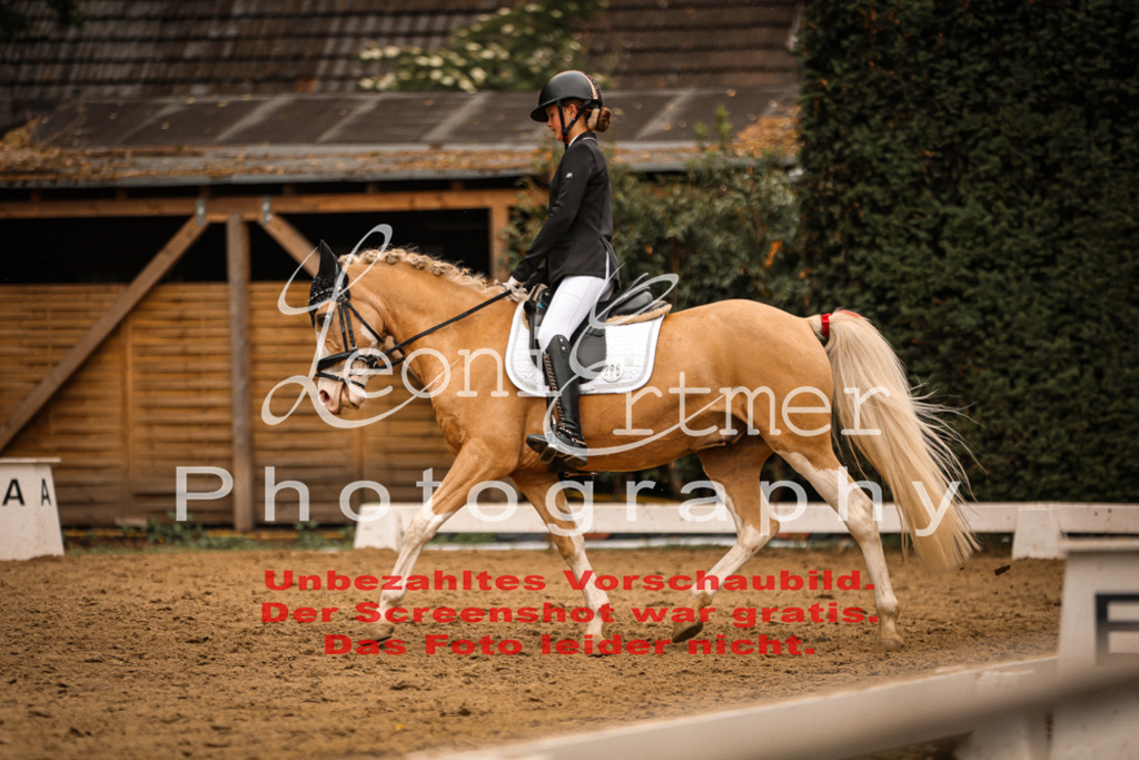 DoDrE00354 | Leoni Ertmer Photography - Realisiert mit Pictrs.com