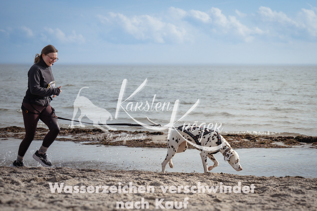 1234_ZZ97265 | kk-dogfotos