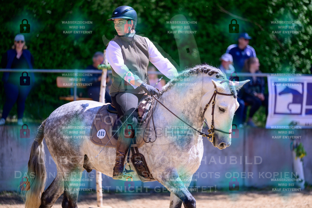01052026-Giesenbach-02-Stiltrail-0036 | Fokus Hufschlag Fotografie - Realisiert mit Pictrs.com