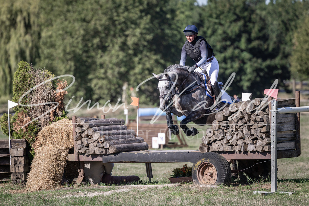 20260906-_3LI2160 | Tierfotografie Pferde, Hunde, Katzen, Haustiere.
Turnierfotografie Reitturniere, Reiten, Springreiten, Dressur in Hanau, dem Main-Kinzig-Kreis und dem Rhein-Main- Gebiet um Frankfurt