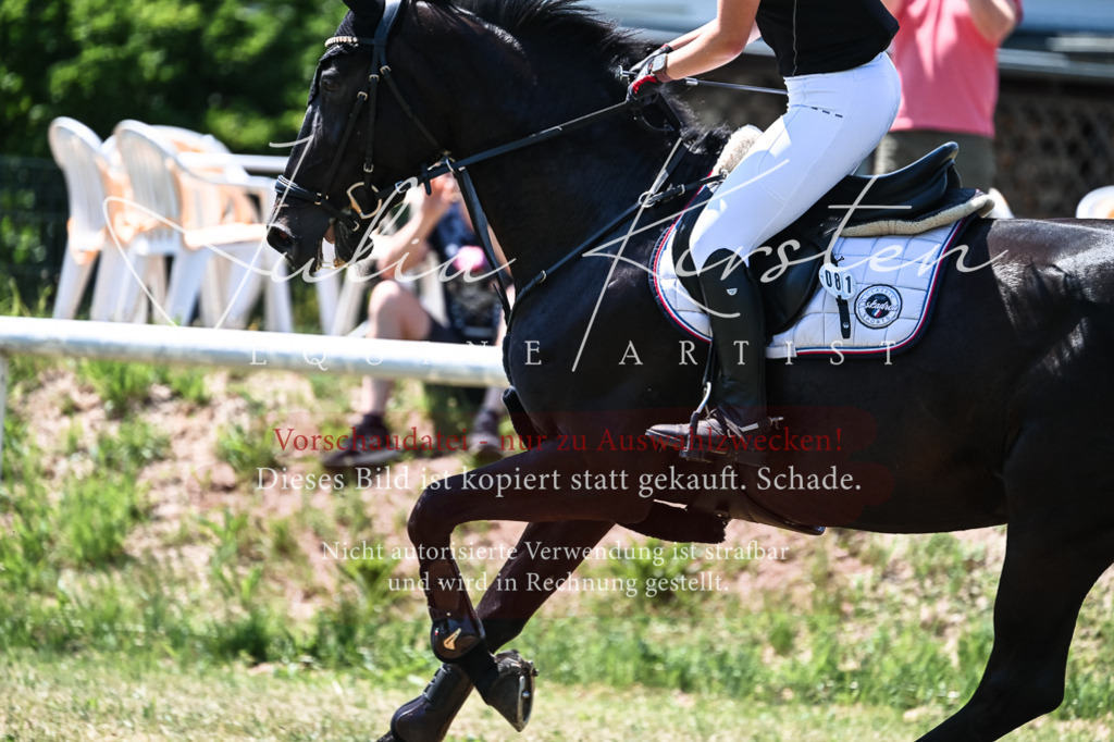 DSC_0495 | Pferde- und Turnierfotografie in Westsachsen. Pferdeportraits, Auftragszeichnungen und intuitive Kunst.