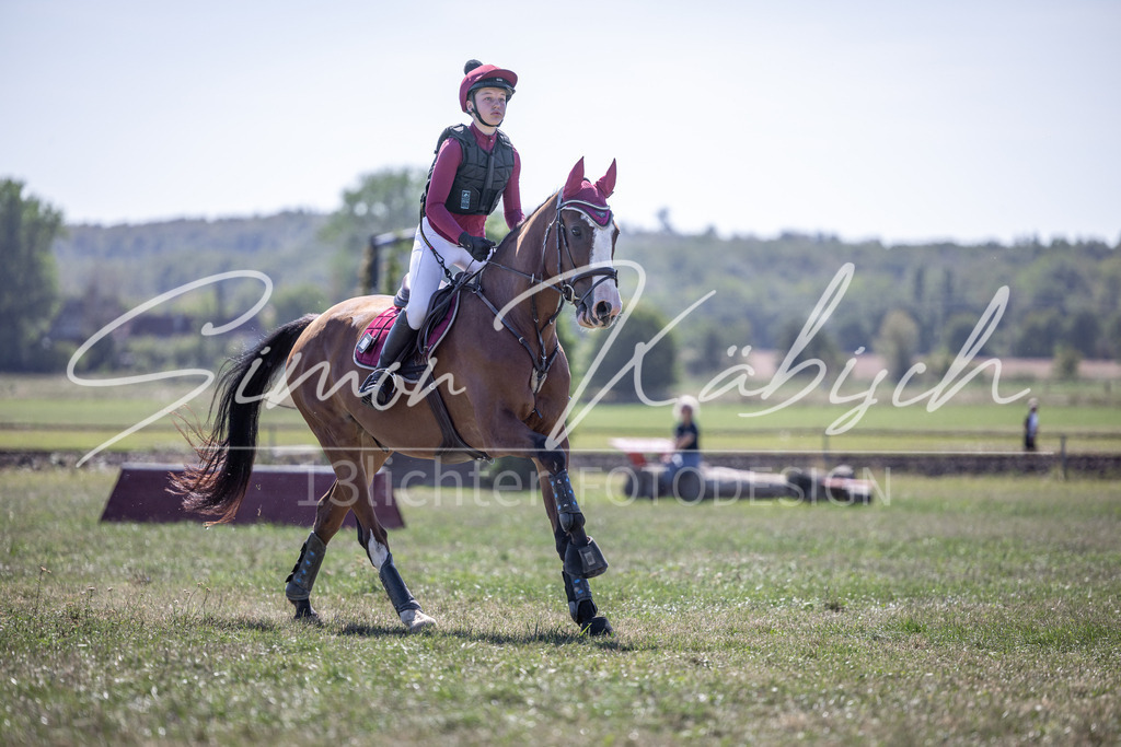20260906-_3LI3909 | Tierfotografie Pferde, Hunde, Katzen, Haustiere.
Turnierfotografie Reitturniere, Reiten, Springreiten, Dressur in Hanau, dem Main-Kinzig-Kreis und dem Rhein-Main- Gebiet um Frankfurt