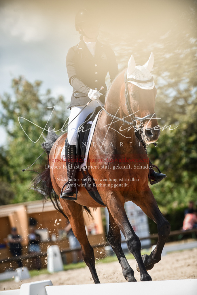DSC_9308 | Pferde- und Turnierfotografie in Westsachsen. Pferdeportraits, Auftragszeichnungen und intuitive Kunst.