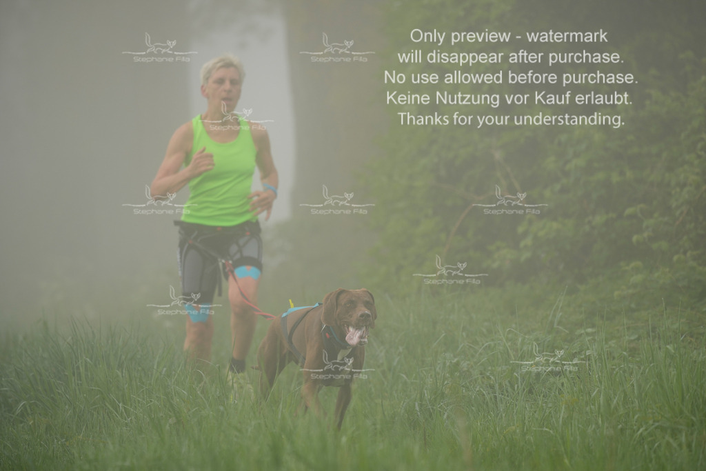 SA_GL2-96 | stephaniefillaphotographie - Realisiert mit Pictrs.com