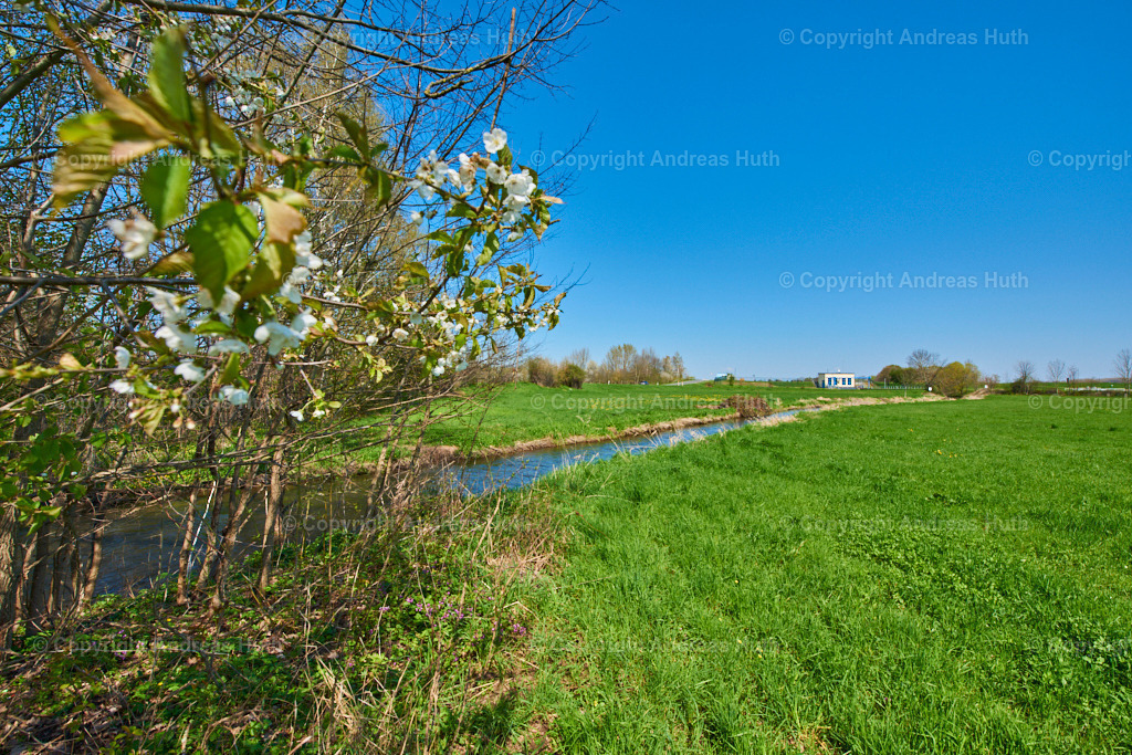 Der Profener Elstermühlgraben bei Kleindalzig 01 | Bedeutsame Landschaften Deutschlands - Realisiert mit Pictrs.com