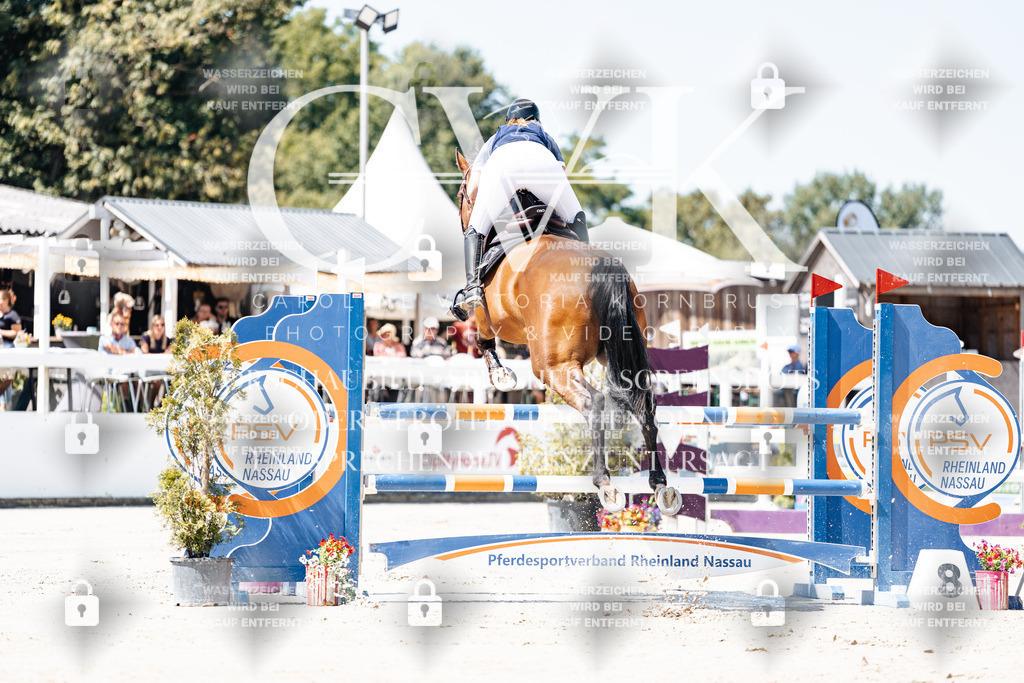 CK909480 | Turnierfotografie Pferdefotografie Trier Rheinland-Pfalz Pferdesport Reitsport Tierfotografie Sportfotografie Pferdevideo Pferdevideografie Equestrianvideography equestrianphotography  - Realisiert mit Pictrs.com