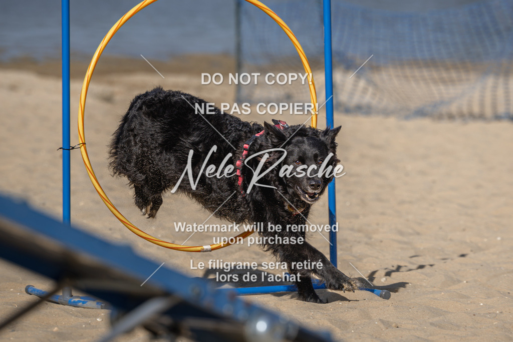 nelerasche_saBeachility_27 | nelerasche