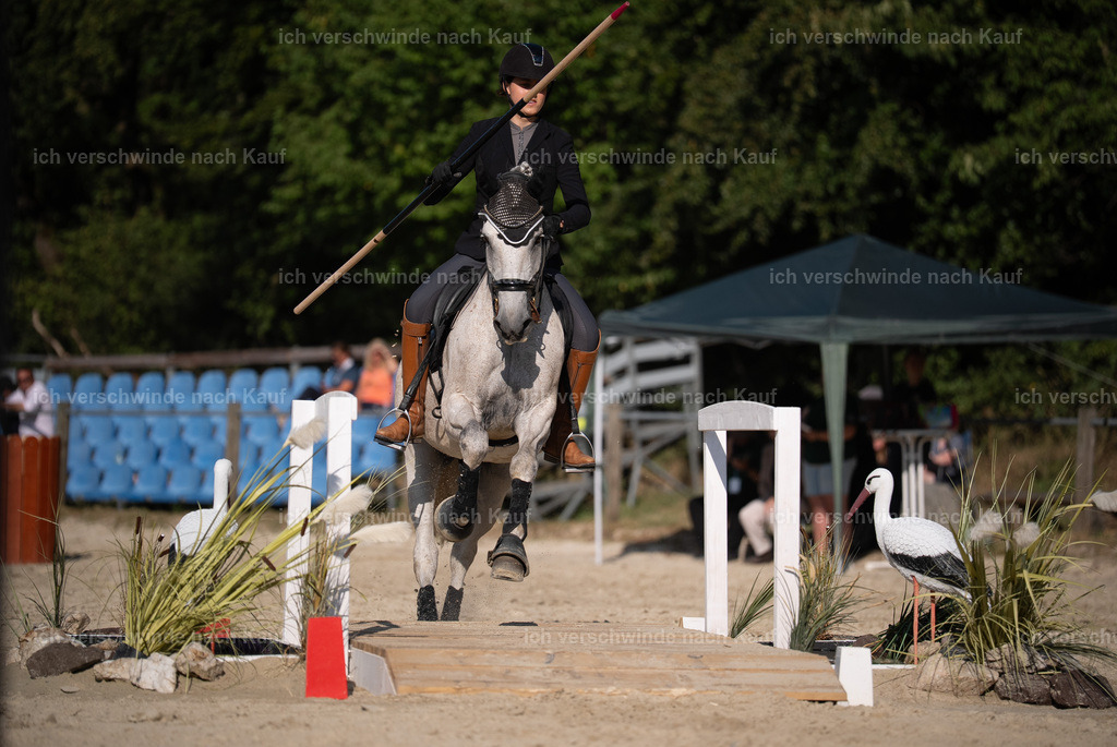 WS_SP_68_Stoibphotography_SO12306 | working equitationturnier fotograf videograf stoibphotography marixx film working equitation deutschland reitsport turnierfotografie eventfotografie equestrian events