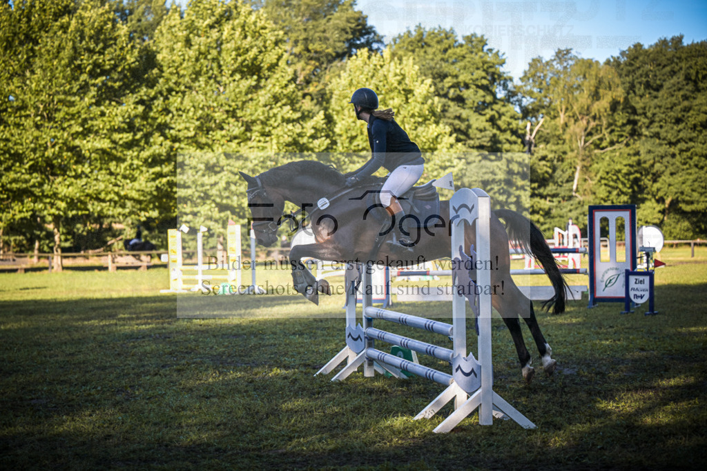 DOS_0032 | Entdecke hochwertige Reitturnierfotos von Foto Oger. Professionell, emotional und authentisch – jetzt Lieblingsmomente im Shop bestellen.Deutschlandweite Turnierfotografie. - Realisiert mit Pictrs.com