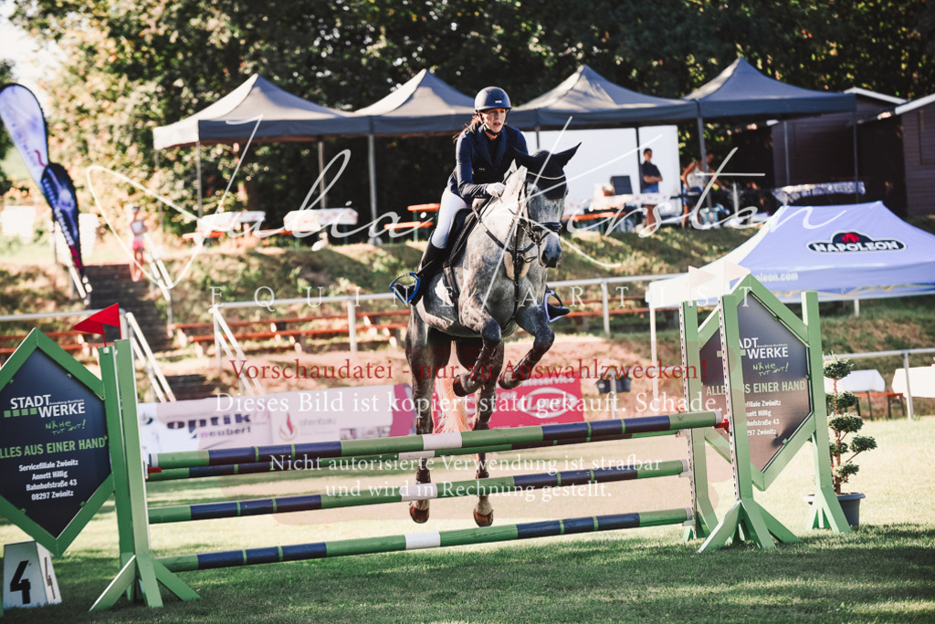 DSC_2156 | Pferde- und Turnierfotografie in Westsachsen. Pferdeportraits, Auftragszeichnungen und intuitive Kunst.