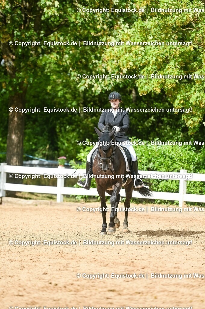 20230716_01_Dressurprüfung Kl.M_0572 | equistock