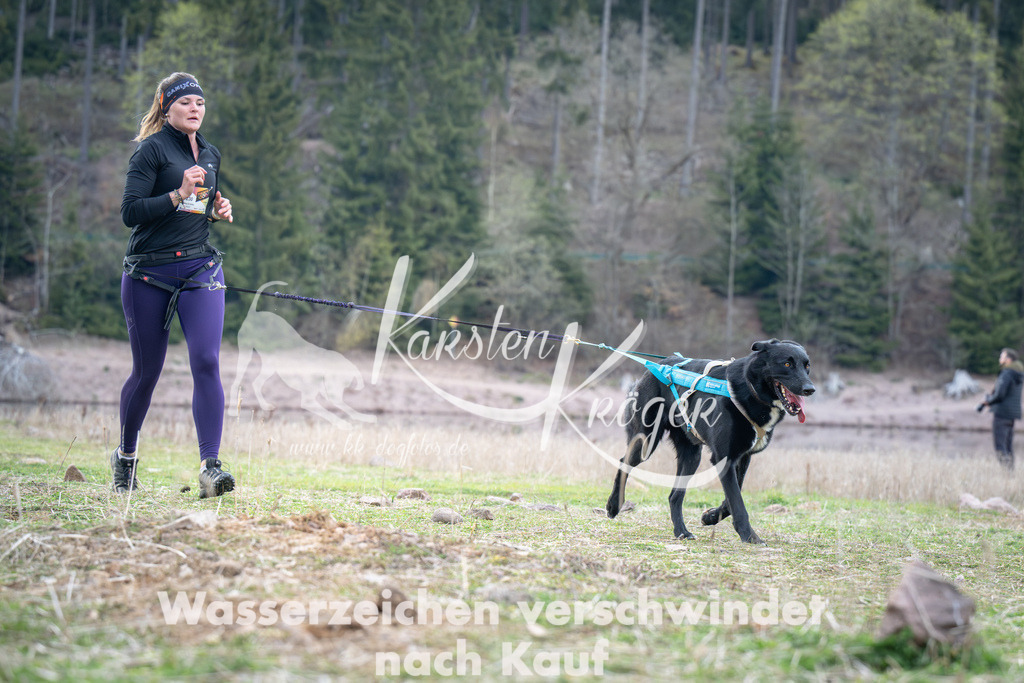 1816_ZZ95165 | kk-dogfotos