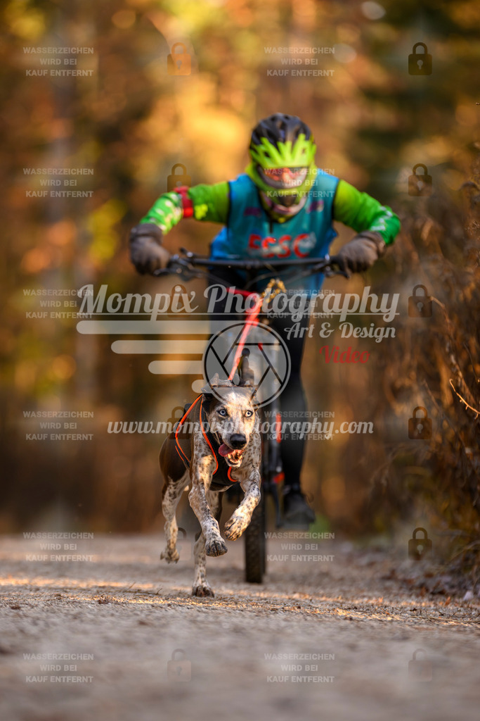 MompixPhotography_DM_AKDM_SO_2025_Bike-161 | PayLife
