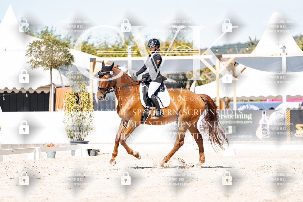 CK909523 | Turnierfotografie Pferdefotografie Trier Rheinland-Pfalz Pferdesport Reitsport Tierfotografie Sportfotografie Pferdevideo Pferdevideografie Equestrianvideography equestrianphotography  - Realisiert mit Pictrs.com