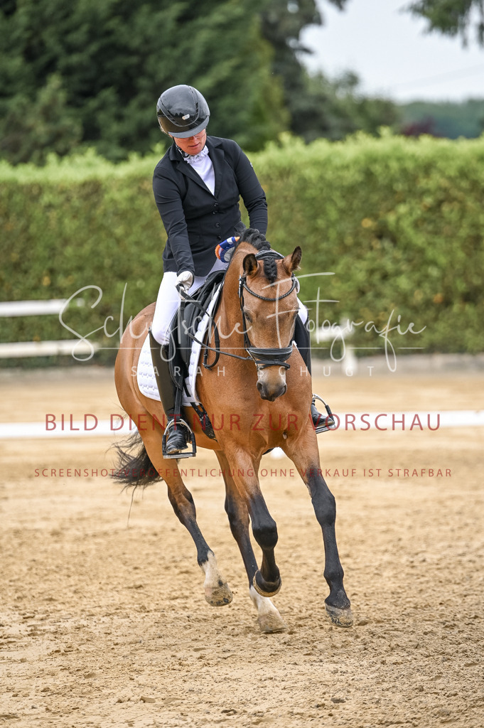 Schugtsche-Aluta25-41.Amat-Dressurprf.A_-647 | Schugtsche Fotografie - Realisiert mit Pictrs.com