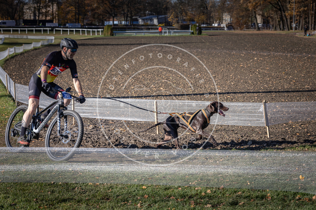 CaniXpix_DV3A6124 | Hundefotografie, Tierfotograf, Pfotenfotografie, Fotoshooting Hund, Hunde Portrait, Hundesport, Hundeportraits, Heideshooting, Hunde, Sportfotograf, Hundefotograf, Turnierhundsport, THS,  - Realisiert mit Pictrs.com
