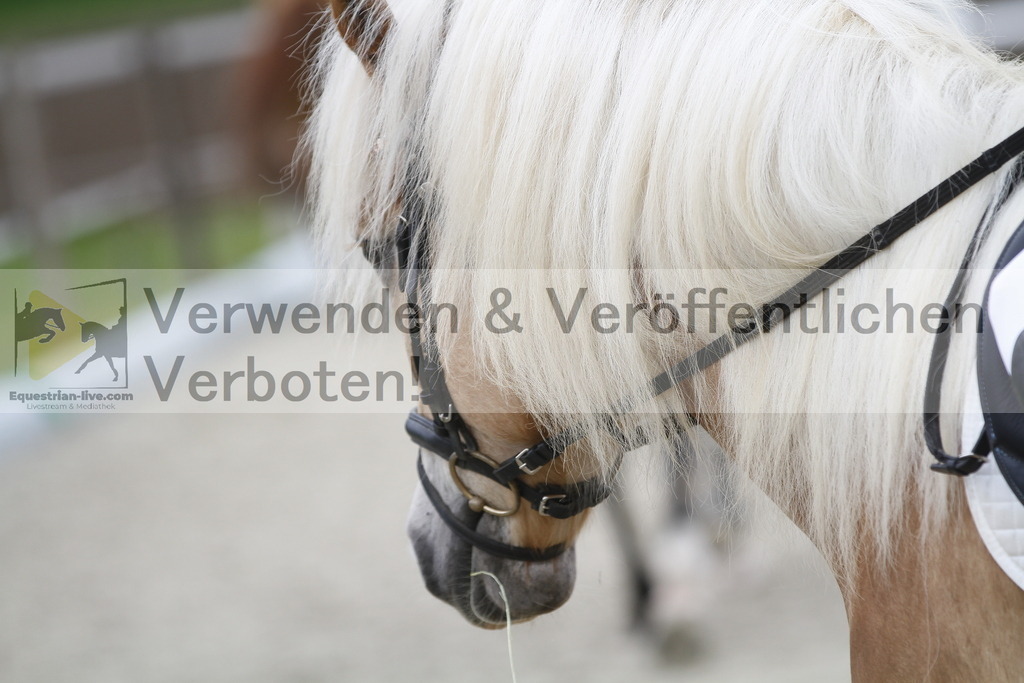 _MG_0627 | equestrian-live-com
