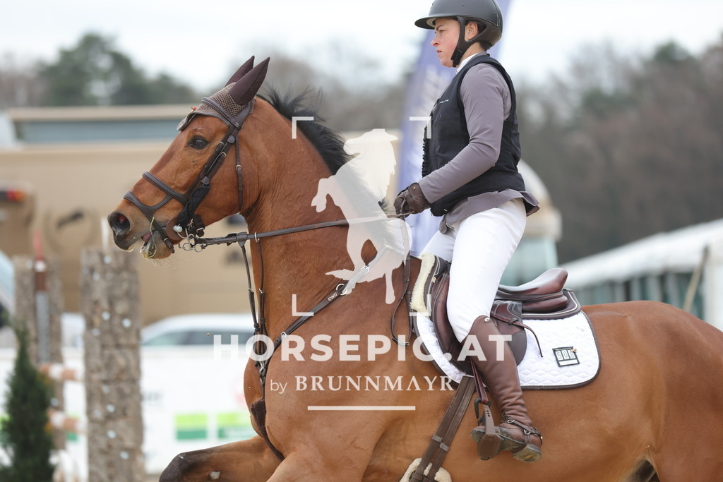 0P6A3221 | Willkommen bei Brunnmayr - Design & Fotografie – Ihrem Spezialisten für Reitturniere und Pferdeveranstaltungen in Oberösterreich, Salzburg und Bayern! Seit über 17 Jahren sind wir leidenschaftlich dabei.