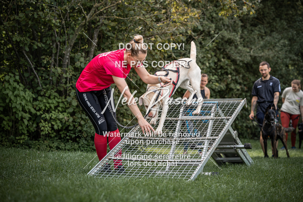 nelerasche_SoLauf_112 | nelerasche
