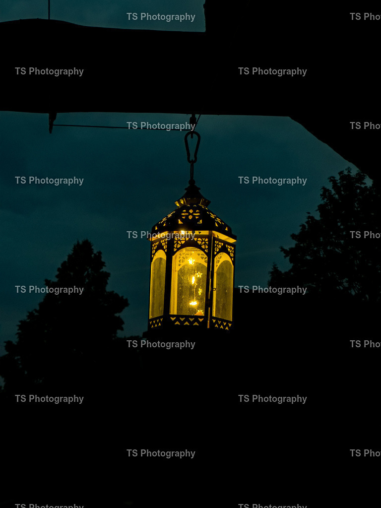 IMG_7593 | TS Photography - Realisiert mit Pictrs.com