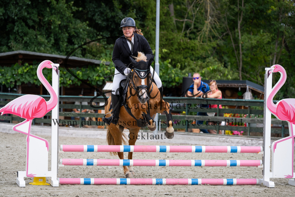 A7V07254 | Pferdefotograf