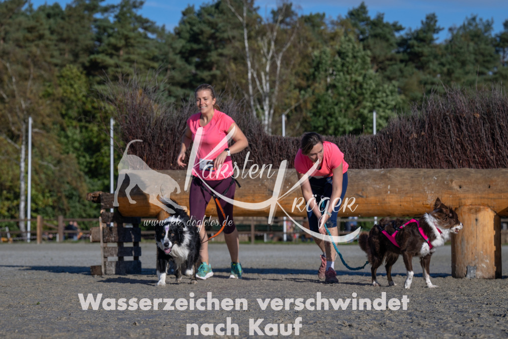 1045-_ZZ92497 | kk-dogfotos