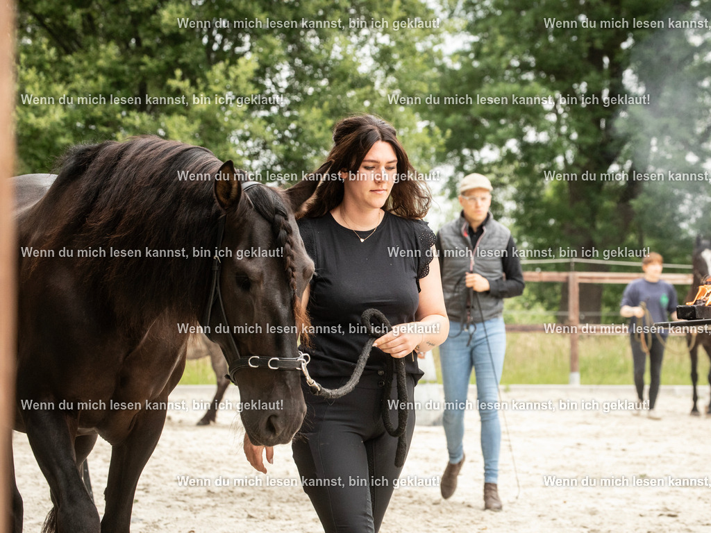 598A6301 | photographylinaismer - Realisiert mit Pictrs.com