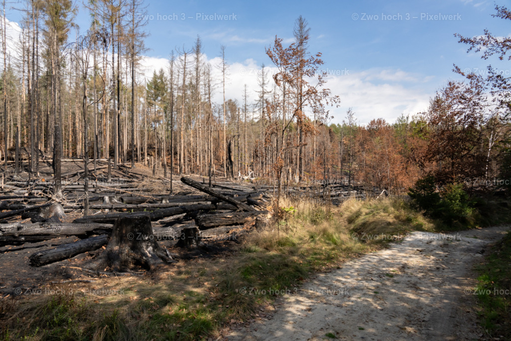 Rosssteig_Nahe_Katzenstein_Waldbrand_Weg_Sand | 2022-08-30_Waldbrandgebiete_1 - Realisiert mit Pictrs.com
