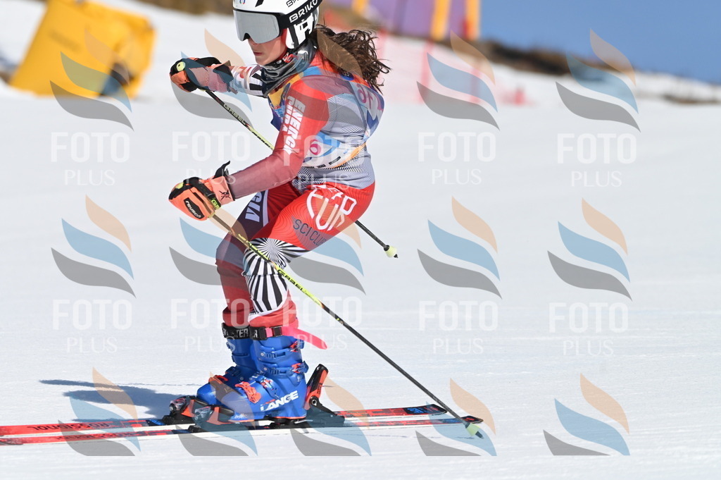 BGV_7882 | holidayphoto