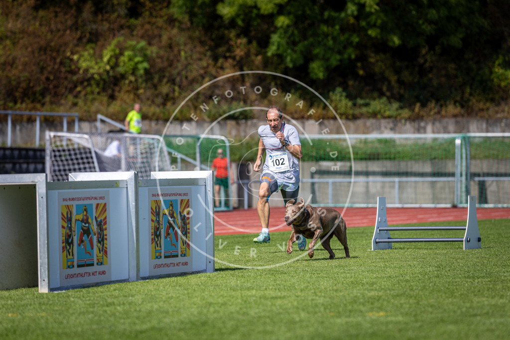 Pfotenfotografie_DV3A8047 | Hundefotografie, Tierfotograf, Pfotenfotografie, Fotoshooting Hund, Hunde Portrait, Hundesport, Hundeportraits, Heideshooting, Hunde, Sportfotograf, Hundefotograf, Turnierhundsport, THS,  - Realisiert mit Pictrs.com
