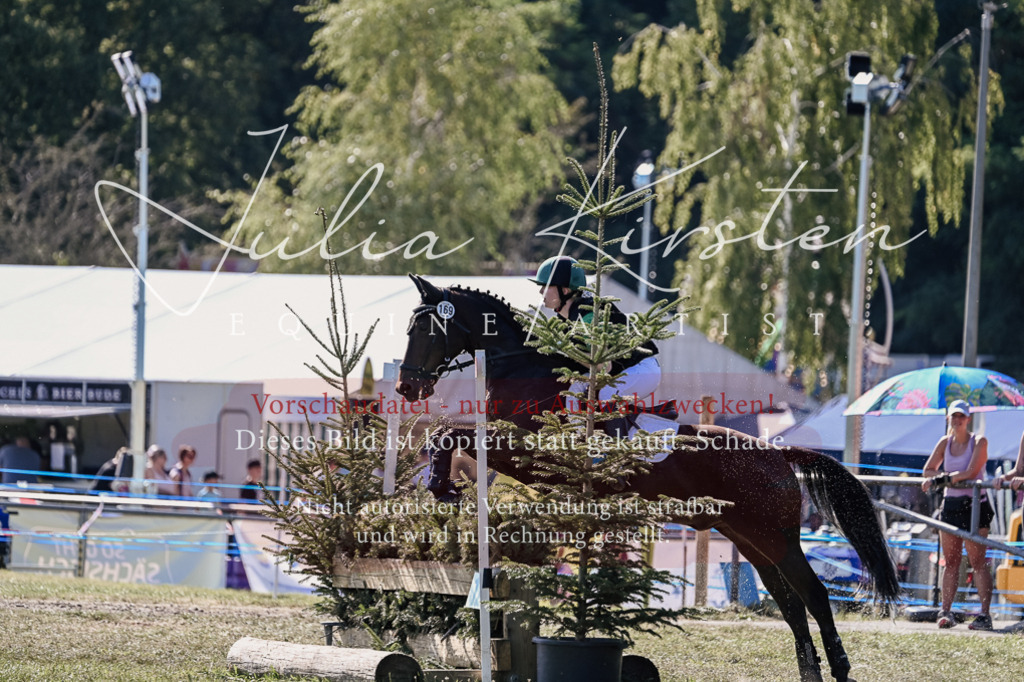 DSC_3632 | Pferde- und Turnierfotografie in Westsachsen. Pferdeportraits, Auftragszeichnungen und intuitive Kunst.