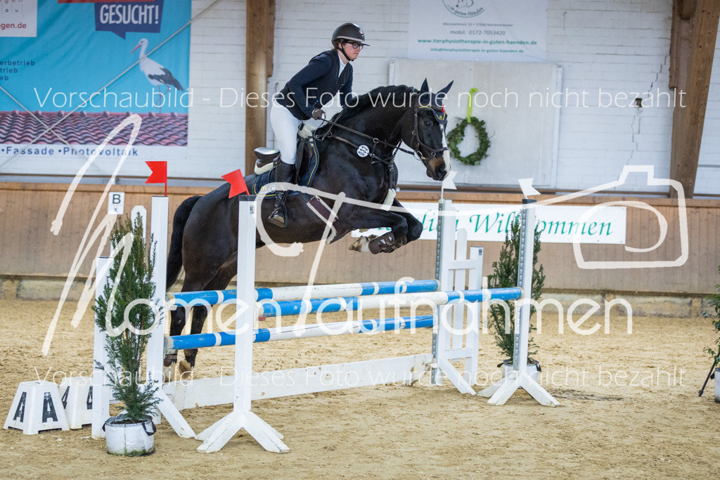 Sth-LPO25-A2St-022 | MomenTaufnahmen Pferdesportfotos