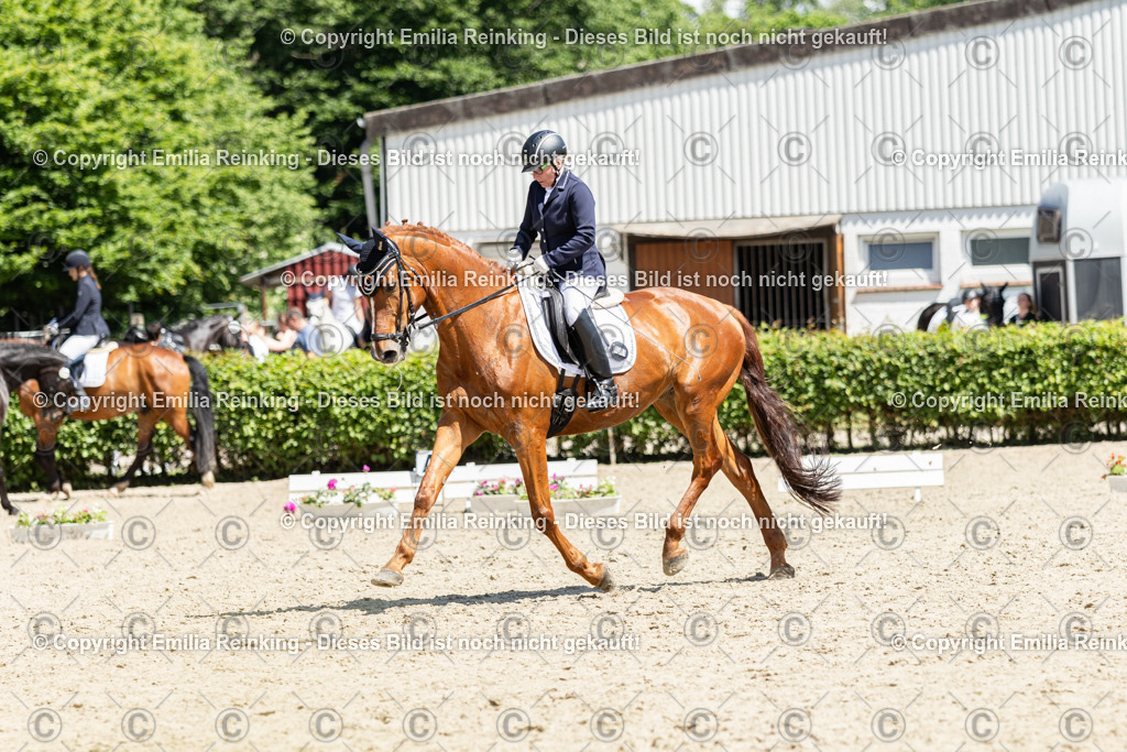 CL5A0034 | Emilia Reinking Fotografie - Realisiert mit Pictrs.com