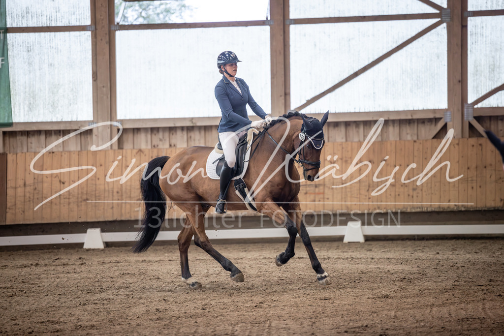 20251011-_3LI9873 | Tierfotografie Pferde, Hunde, Katzen, Haustiere.
Turnierfotografie Reitturniere, Reiten, Springreiten, Dressur in Hanau, dem Main-Kinzig-Kreis und dem Rhein-Main- Gebiet um Frankfurt
