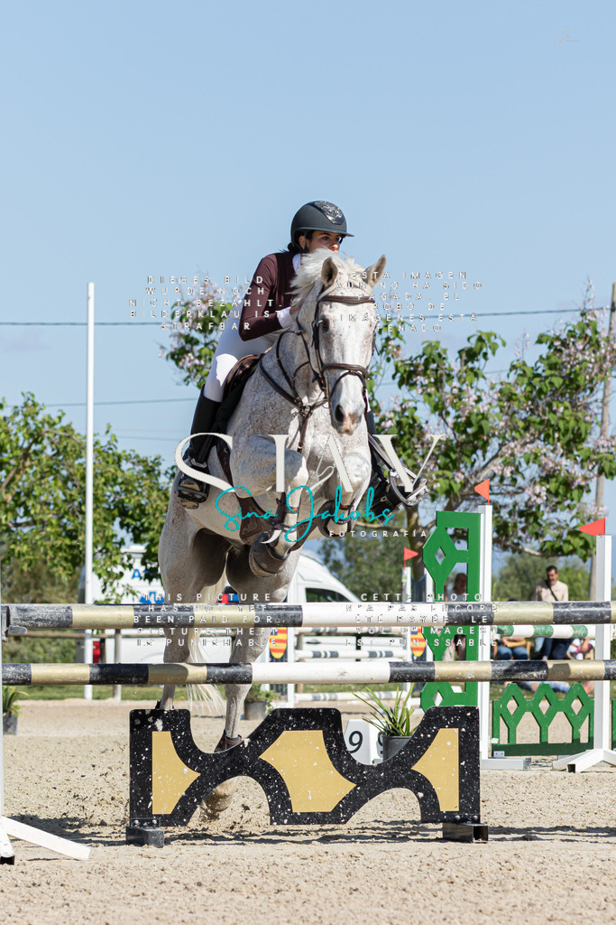 IMG_0976 | s-jay-photography - Realisiert mit Pictrs.com