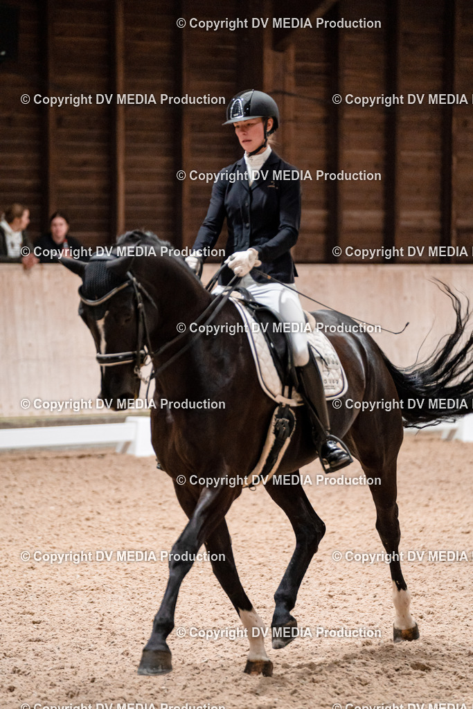 Dressur Tag 2-709 | dv-media-shop - Realisiert mit Pictrs.com