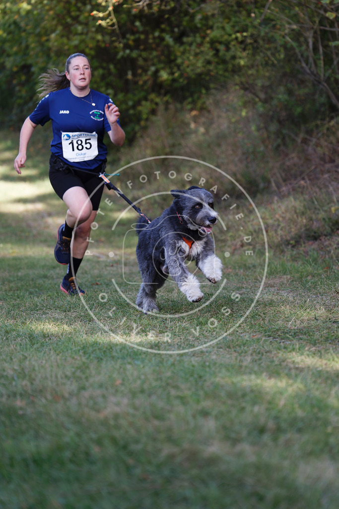 0L8A5540 | Hundefotografie, Tierfotograf, Pfotenfotografie, Fotoshooting Hund, Hunde Portrait, Hundesport, Hundeportraits, Heideshooting, Hunde, Sportfotograf, Hundefotograf, Turnierhundsport, THS,  - Realisiert mit Pictrs.com