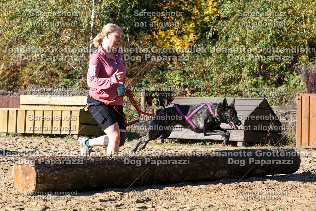 Dog Paparazzi - Strongdog 10-25-2599 | Dog Paparazzi Jeanette Grottendiek Fotografie & Videografie - Realisiert mit Pictrs.com